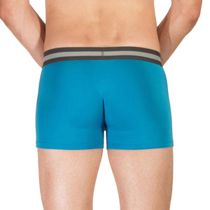 Obviously EveryMan Boxer Brief 3 inch Leg - Bondi — Back