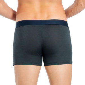 Obviously FreeMan Boxer Brief 3 inch Leg - Ash — Back